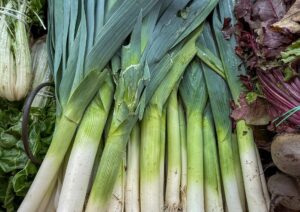 eddie pipocas jBDN9kU35q8 unsplash scaled