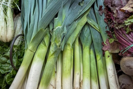 eddie pipocas jBDN9kU35q8 unsplash scaled