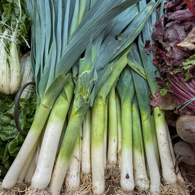 eddie pipocas jBDN9kU35q8 unsplash scaled