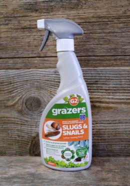 Garden 143 LAH 2026 web_DSF8721 scaled