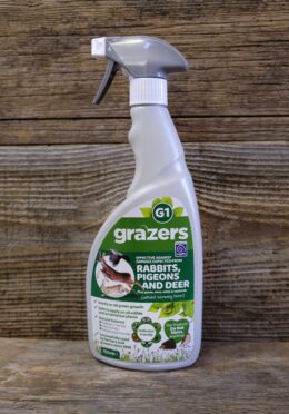 Garden 142 LAH 2026 web_DSF8723 scaled