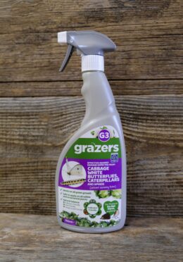 Garden 144 LAH 2026 web_DSF8725 scaled