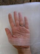 Garden 086 LAH 2026 web_DSF8731 scaled