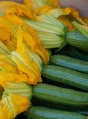 Courgette Striato 2 scaled 1