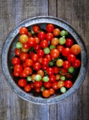 Tomato Tough Cookie LAH 2025 web _DSF8193 scaled