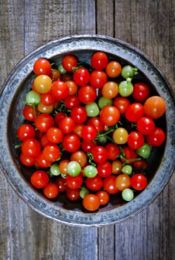 Tomato Tough Cookie LAH 2025 web _DSF8193 scaled