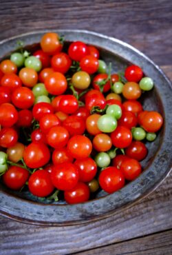 Tomato Tough Cookie LAH 2025 web _DSF8196 scaled