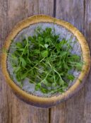 Microgreen Parsley Pea LAH 2025 web_DSF7504 scaled