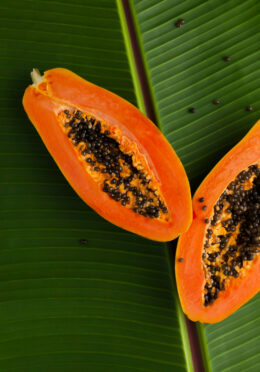 Edible Houseplant Papaya web unsplash