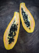 Edible Houseplant Papaya LAH 2023 web IMG_6704 scaled