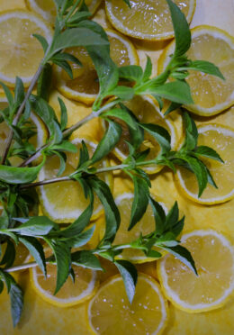 Herb Lemonade Basil LAH 2025 web_DSF7533 scaled