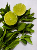 Herb Limeade Basil LAH 2025 web _DSF7604 scaled