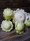 Courgette White Custard LAH 2025 web_DSF7595 scaled