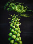 Brussels Sprout Long Island web unsplash scaled