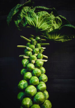Brussels Sprout Long Island web unsplash scaled