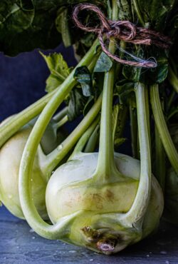 Kohlrabi Superschmelz 2 scaled 1