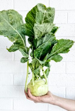 Kohlrabi Superschmelz 3 scaled 1