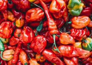 timothy l brock WJ5mej6mWi4 unsplash scaled