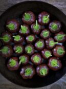 Sweet Pepper Purple Beauty LAH 2025 web _DSF8520 scaled