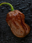 Chilli Chocolate Habanero 3