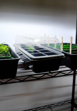 GARDEN 272 LAH 2026 web_DSF8755 scaled