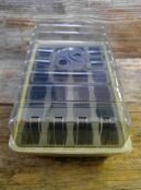 GARDEN 275 LAH 2026 web_DSF8772 scaled