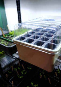 GARDEN 276 LAH 2026 web _DSF8780 scaled