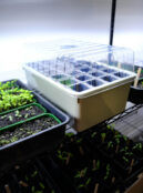 GARDEN 276 LAH 2026 web _DSF8779 scaled