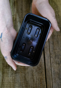 GARDEN 269 LAH 2026 web_DSF8797 scaled