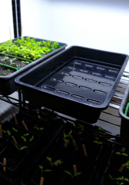 GARDEN 271 LAH 2026 web _DSF8793 scaled