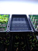 GARDEN 271 LAH 2026 web _DSF8792 scaled