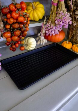 GARDEN 277 LAH 2026 web _DSF8801 scaled