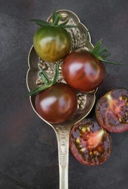 Tomato Black Cherry 1 scaled 1