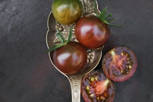 Tomato Black Cherry 1 scaled 1