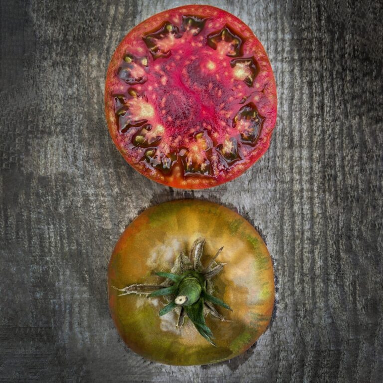 Tomato Black Russian 1 scaled 1