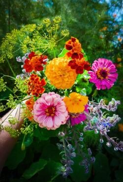 Anti Slug Snail Flower Mix web 25r5149 2 scaled