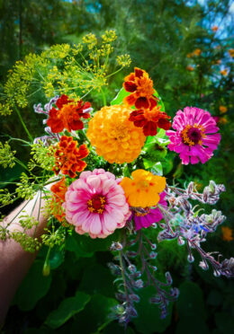 Anti Slug Snail Flower Mix web 25r5149 2 scaled