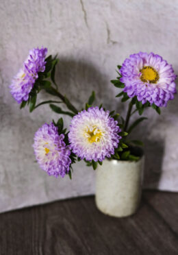 Aster Matsumoto Blue Tipped White LAH 2025 web_DSF6790 scaled