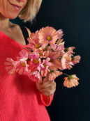 Cosmos Apricotta LAH 2025 web IMG_1729 scaled