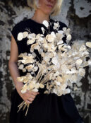 Honesty Purple LAH 2025 web IMG_1552 scaled