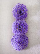 Lace Flower Blue Lace LAH 2025 web_DSF6865 scaled