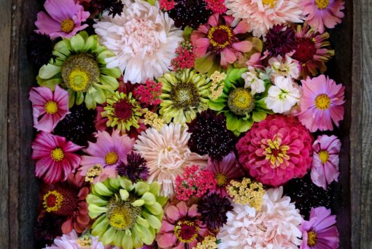 Antique flower bundle 7 web scaled