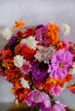 Joy flower bundle 9 web scaled