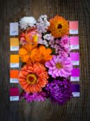 Joy flower bundle 6 web scaled