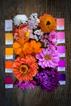 Joy flower bundle 6 web scaled