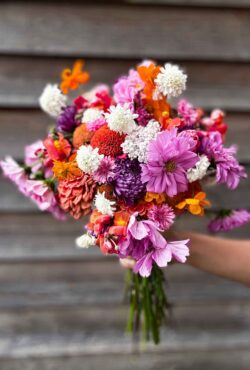 Joy flower bundle 2 web scaled