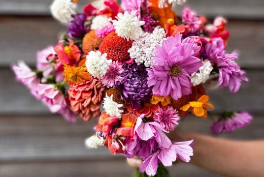 Joy flower bundle 2 web scaled