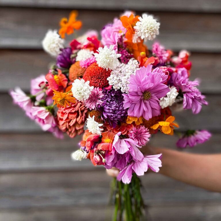 Joy flower bundle 2 web scaled