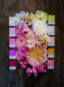 Shades flower bundle 7 web scaled