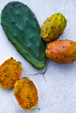 Prickly Pear 1 scaled 1